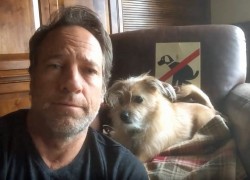 Fridays With Freddy: Sort Of